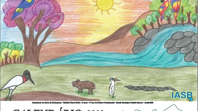 Dia Mundial do Meio Ambiente: alunos desenham paisagens de MS e ilustram calendário do IASB