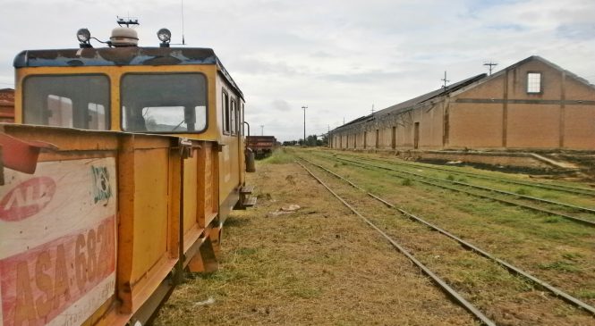 Fórum Central: MS discute reativação da antiga Ferrovia Noroeste com chineses
