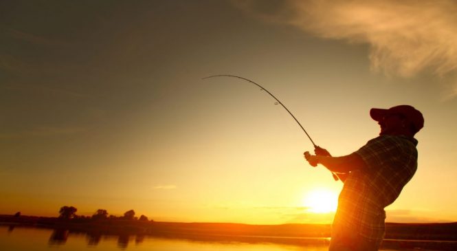 Pesca está reaberta em Mato Grosso do Sul, mas é importante estar atento às regras