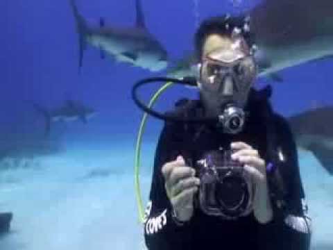Cavernas e fazendas de Bonito serão cenário para fotografo de tubarões