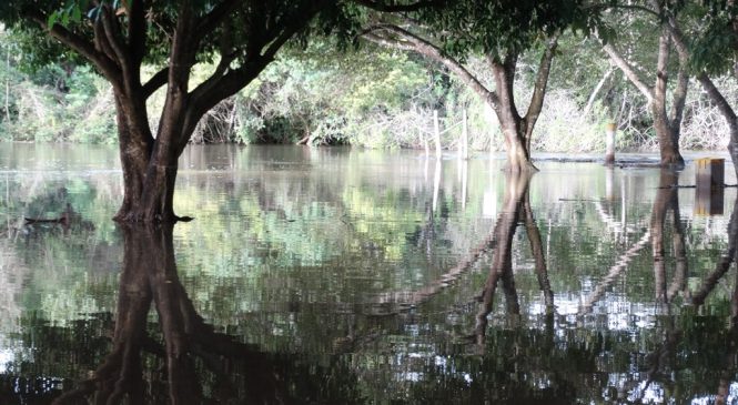 Chuva faz nível de rios subirem, interdita passeios e danifica estradas em Bonito e Bodoquena
