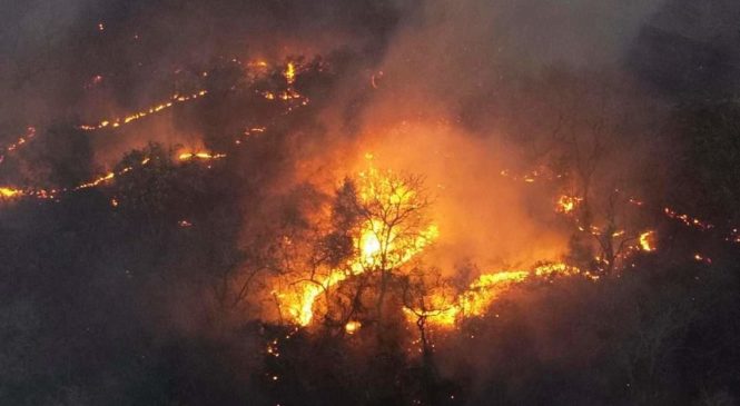 Incêndios chegam a Serra da Bodoquena e ameaçam fauna e flora local