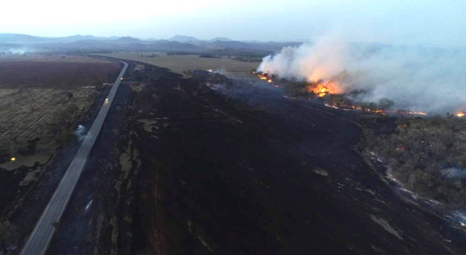 Sem chuva, queimadas se intensificam e Ibama estima 1 milhão de hectares em cinzas